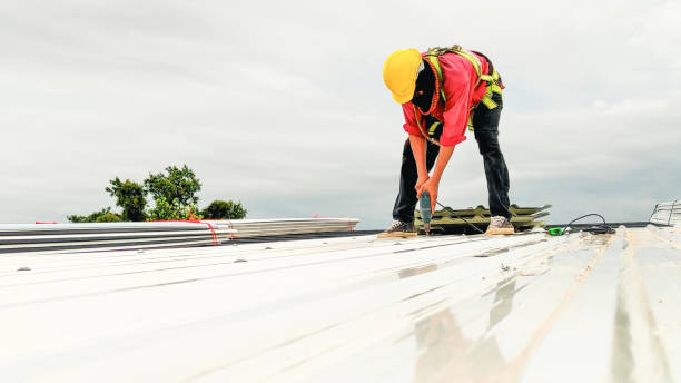 Best Roof Insulation Installation  in Lacy Lakeview, TX